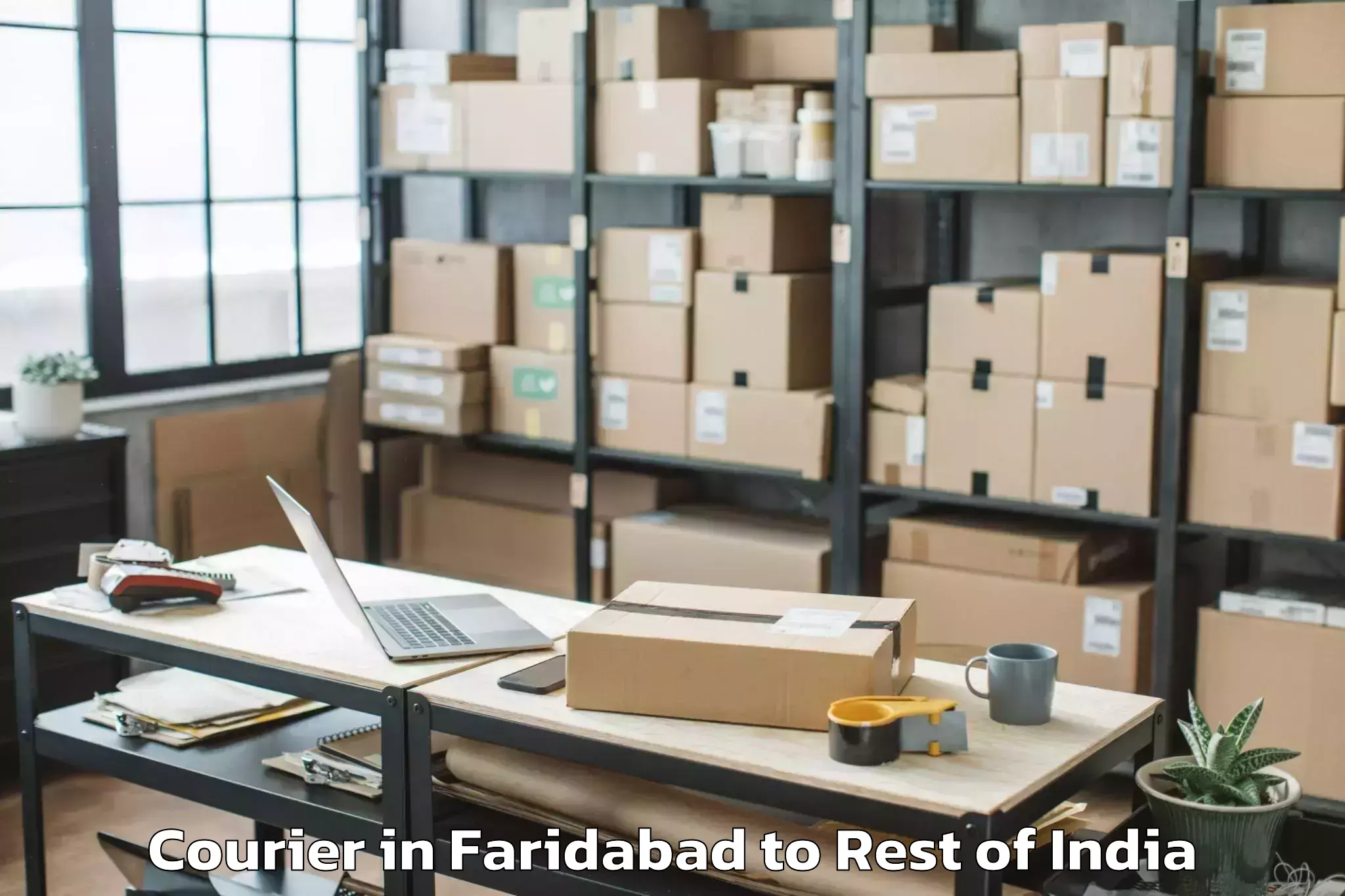 Easy Faridabad to Shangus Courier Booking